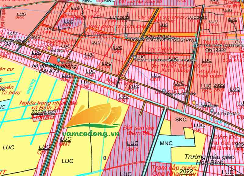 Quy hoạch sử dụng đất xã Bình Tân Thị xã Kiến Tường