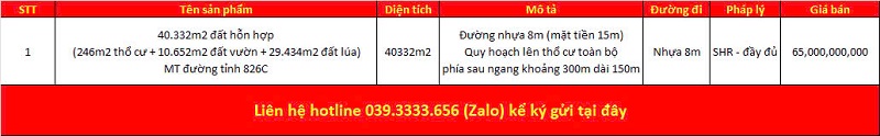 Danh sách bất động sản đang rao bán tại xã Đông Thạnh