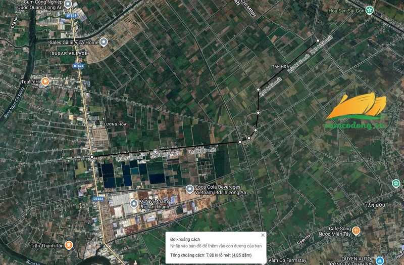 Hình vẽ vệ tinh đường Gia Miệng