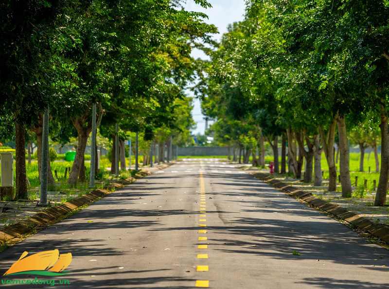 Hình ảnh cảnh quan tại khu dân cư The Solia