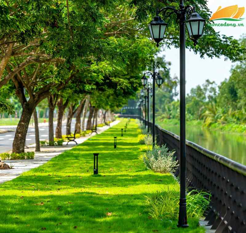 Hình ảnh cảnh quan tại khu dân cư The Solia